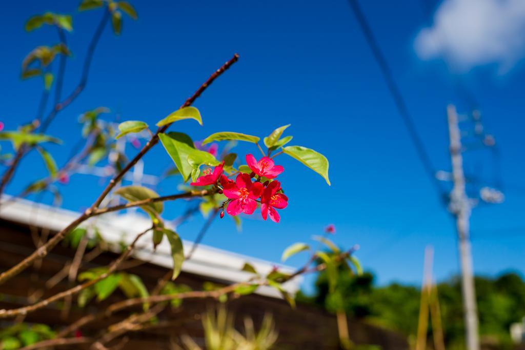 منتجع يونايتيد يوميتان Okinawa المظهر الخارجي الصورة